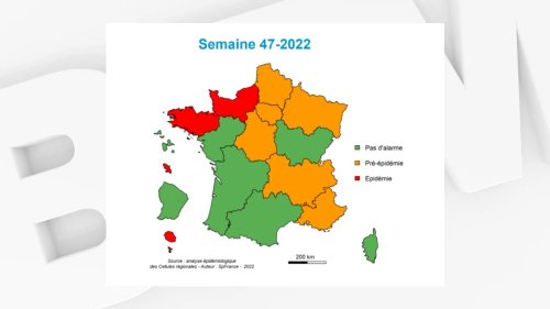 Grippe: l'épidémie est déclarée en métropole avec la Bretagne et la Normandie en alerte maximale