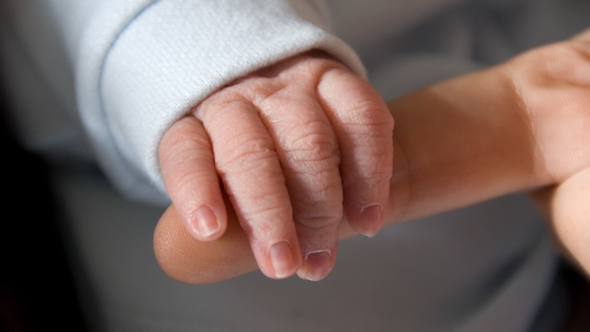 Risques sur le « neurodéveloppement »: l’Anses alerte sur le danger de pesticides pour les jeunes enfants