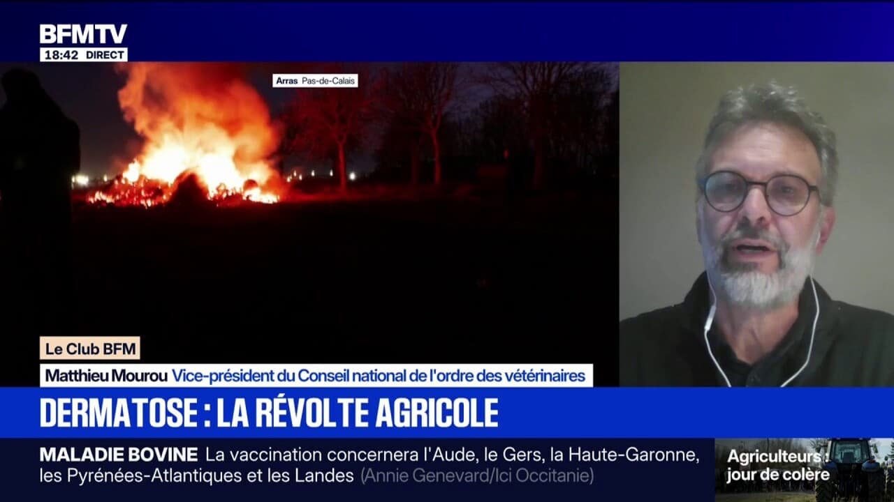 Dermatose bovine: « C’est quand même compliqué d’intervenir encadré par des forces de l’ordre », assure Matthieu Mourou, vice-président du Conseil national de l’ordre des vétérinaires