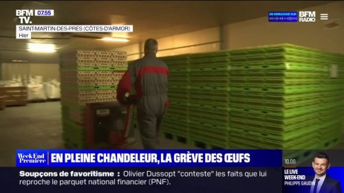 Inflation: des éleveurs de poules bretons suspendent leurs livraisons d'œufs