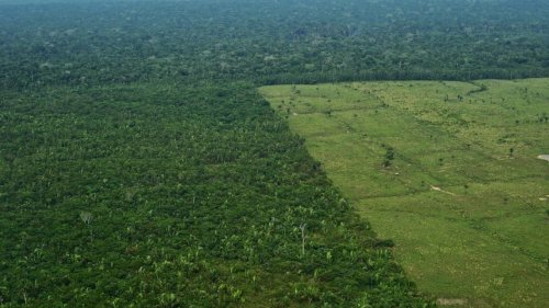 Brésil: la déforestation en Amazonie en recul sur un an