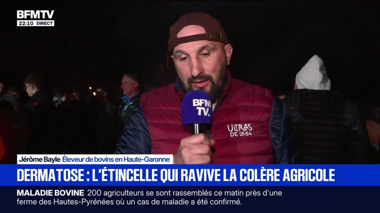 Dermatose bovine: « Chez nous en Haute-Garonne, 34 animaux vont être euthanasiés demain », déclare Jérôme Bayle, éleveur de bovins
