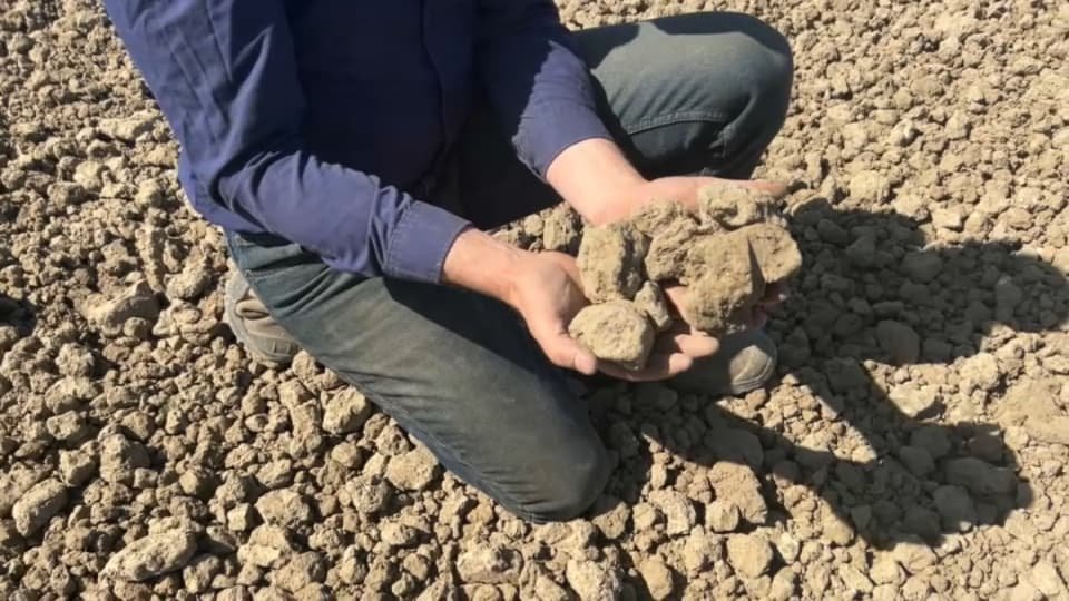 « C’est dur comme du caillou »: dans le Nord-Pas-de-Calais, les agriculteurs dans le flou à cause de la sécheresse