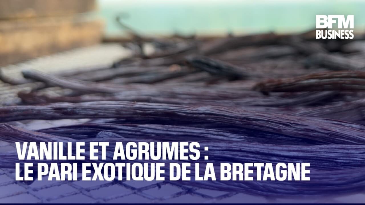 Vanille et agrumes : le pari exotique de la Bretagne