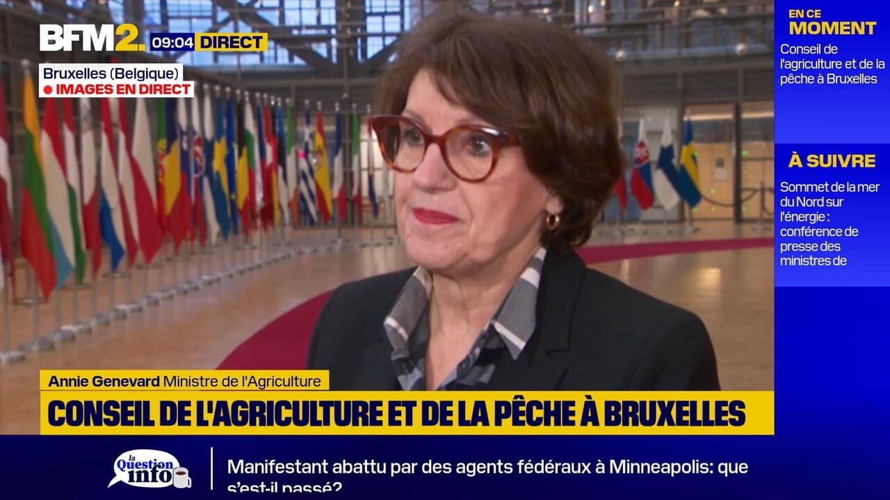 Mercosur: « L&rsquo;agriculture est toujours la variable d&rsquo;ajustement des accords de libre-échange », regrette Annie Genevard