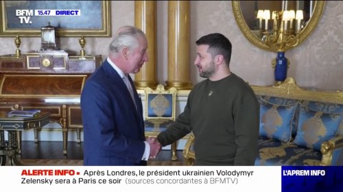 Volodymyr Zelensky rencontre le roi Charles III à Buckingham Palace