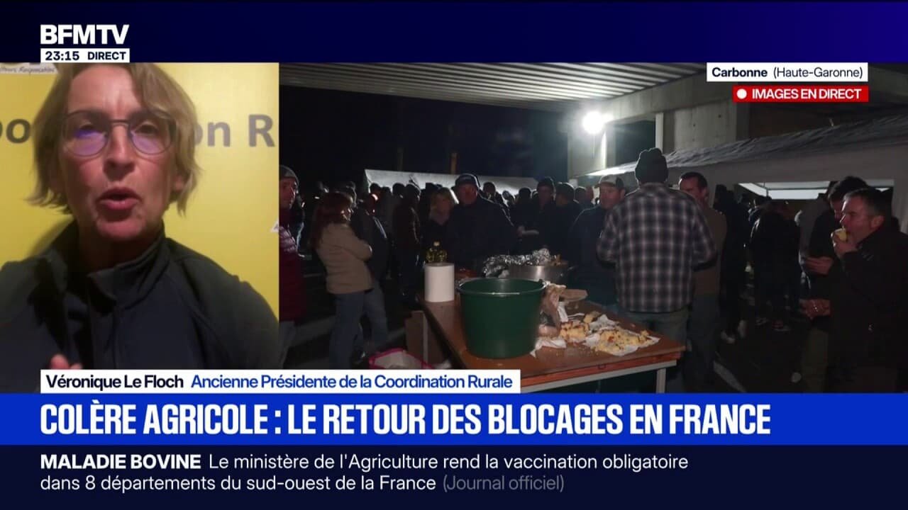Dermatose bovine: « La France peut revenir à une politique d’abattage sélective uniquement pour les animaux gravement malades », dit Véronique Le Floch, ancienne Présidente de la Coordination Rurale