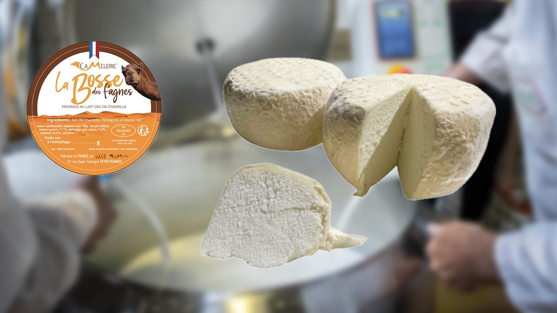 18 euros les 120 grammes: cet éleveur du Nord est le seul producteur en France de fromage de chamelle
