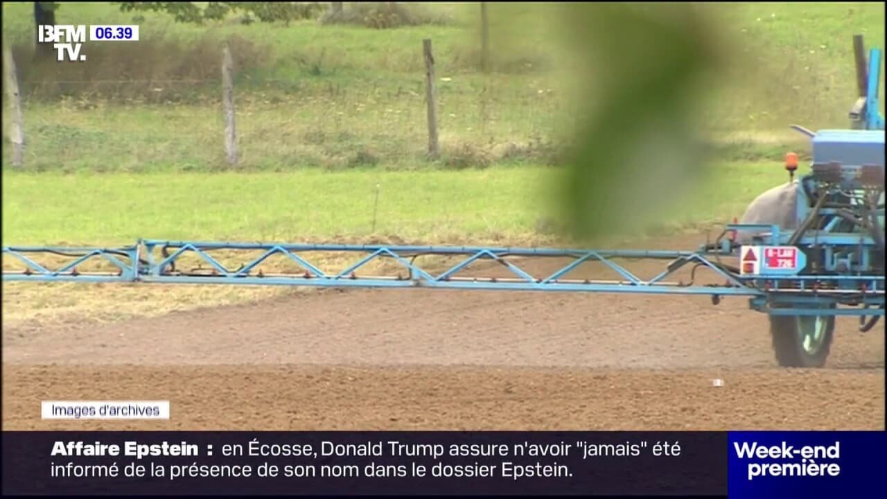 Ces agriculteurs et restaurateurs qui s’opposent à la loi Duplomb