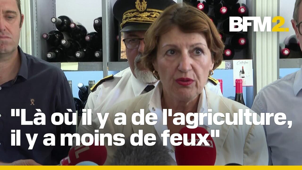 Aude: Annie Genevard annonce un fonds d’urgence de huit millions d’euros pour les agriculteurs