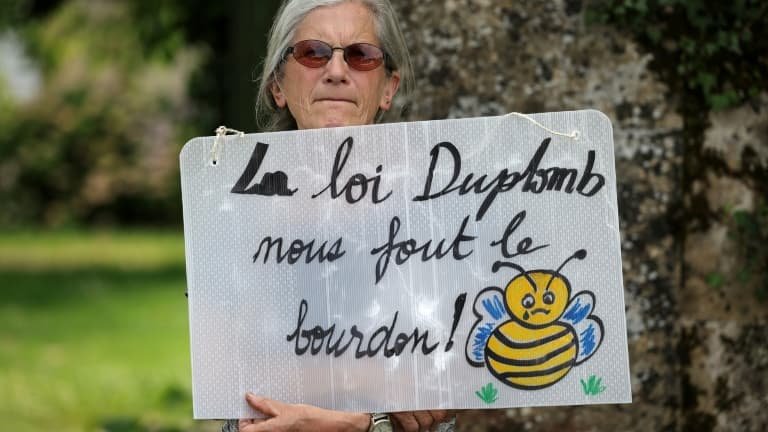 « Une victoire, « coup de grâce à nos agriculteurs »: la gauche soulagée, la droite indignée après la censure partielle de la loi Duplomb