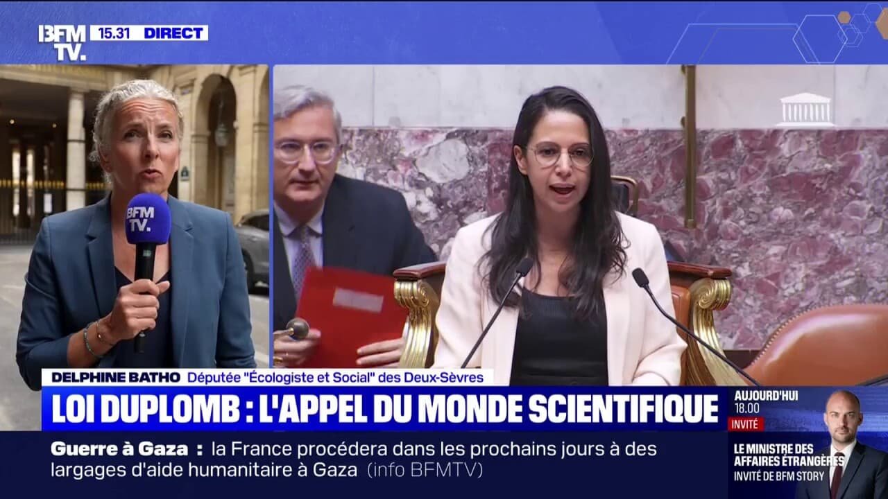 Loi Duplomb au Conseil constitutionnel: « Il faut soumettre cette loi à un nouveau débat parlementaire », estime Delphine Batho (Écologiste et Social)