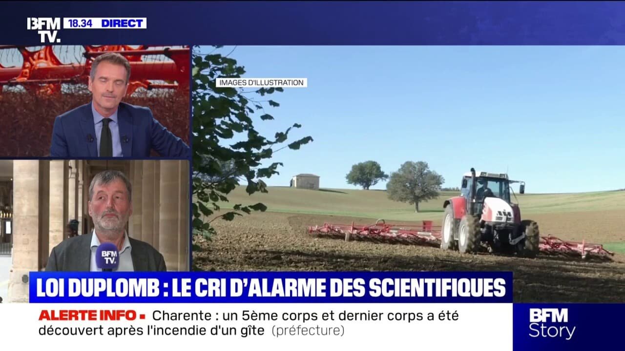 Loi Duplomb: « Nous sommes dans un moment très particulier de déni scientifique », dénonce Daniel Salmon, sénateur « Écologiste, Solidarité et territoire »