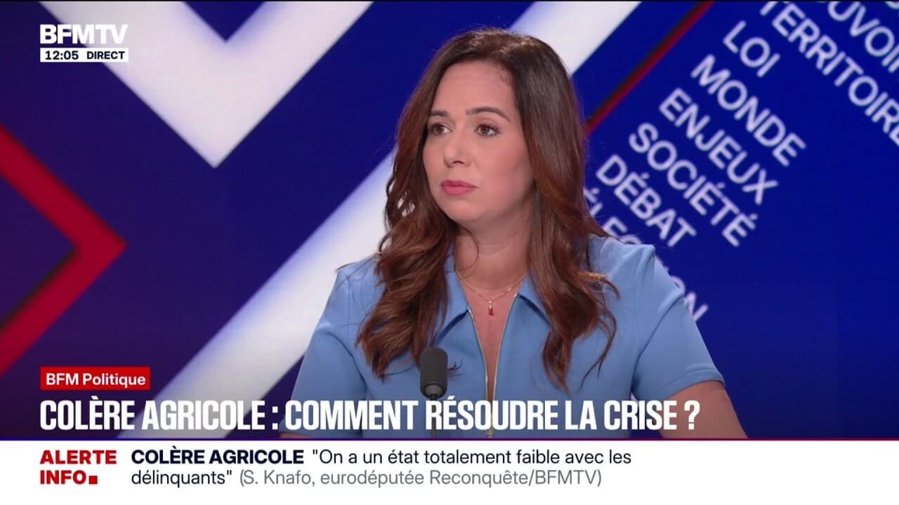 Pour Sarah Knafo, eurodéputé « Reconquête », le Mercosur « est une trahison » envers les agriculteurs