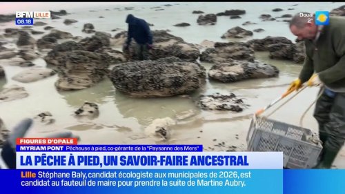 Les Ch'tites Sorties du samedi 15 mars 2025 - Pêche à pied, un savoir-faire ancestral
