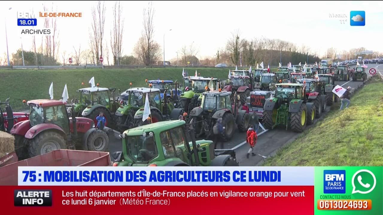 Île-de-France: les agriculteurs prévoient une grande mobilisation lundi