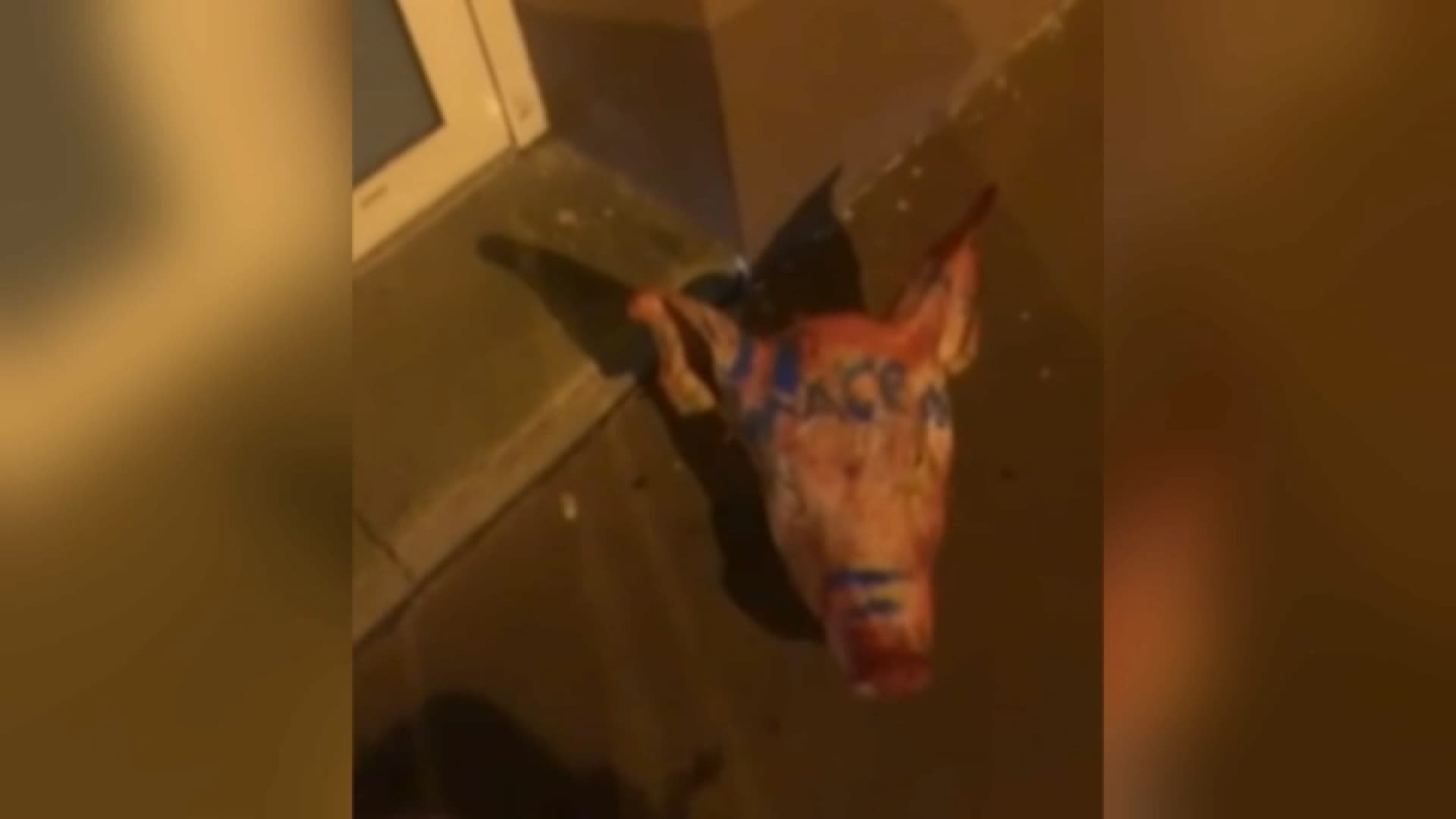 « Loin de mes idéaux »: l’éleveur qui a vendu les têtes de porcs déposées devant des mosquées témoigne