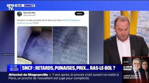 Retards, punaises de lit, tarifs élevés...le ras-le-bol des usagers de la SNCF