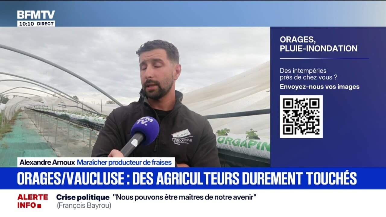 Les agriculteurs déplorent d’importants dégâts lié à l’épisode orageux dans le sud*est