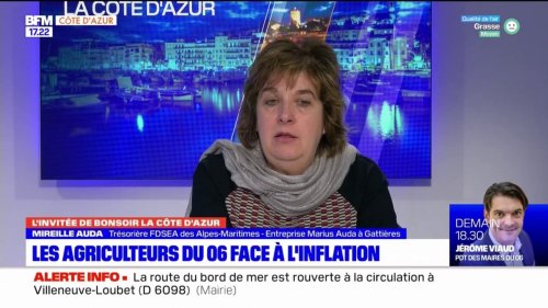 Prix de l'énergie: Mireille Auda, trésorière de la FDSEA des Alpes-Maritimes déplore une facture multipliée par "5 ou 6"