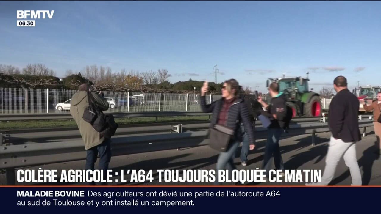 Abattages, Mercosur… De nombreux appels au rassemblement lancés par les syndicats agricoles