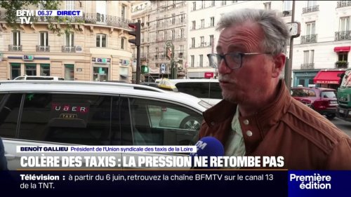 "C'est la destruction de plusieurs centaines d'entreprises de taxis" : les taxis de nouveau mobilisés ce mardi