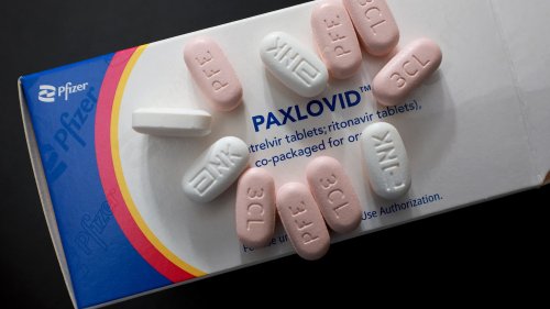Covid-19: des scientifiques déplorent la faible prescription du Paxlovid aux personnes fragiles