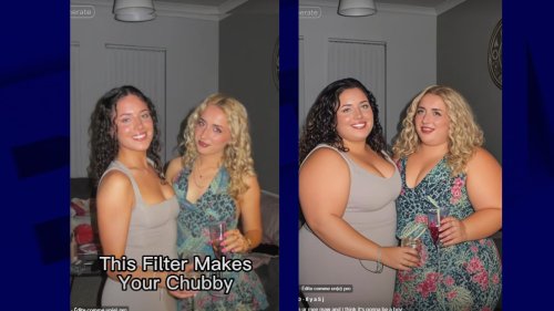 "C'est mon corps dans la vraie vie et tu te moques": sur Tiktok, le filtre "Chubby" accusé d'encourager la grossophobie