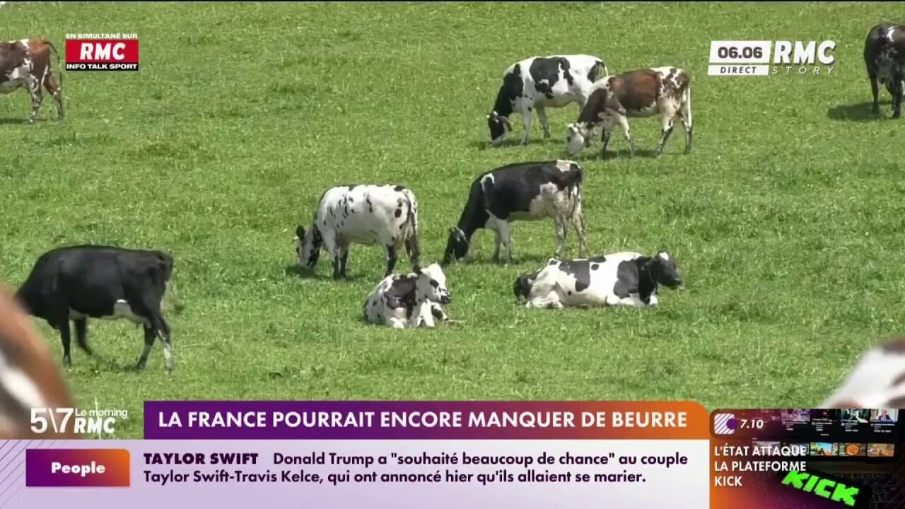 À cause des fortes chaleurs et des maladies ovines, la France pourrait-elle faire face à une pénurie de beurre?