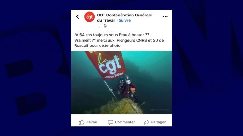 Réforme des retraites: des plongeurs du CNRS manifestent à 26 mètres sous la mer