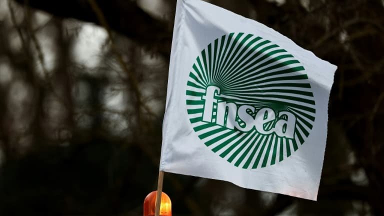 « Une rupture avec l’agriculture française »: la FNSEA déplore le « reniement total » d’Emmanuel Macron sur l’accord UE-Mercosur