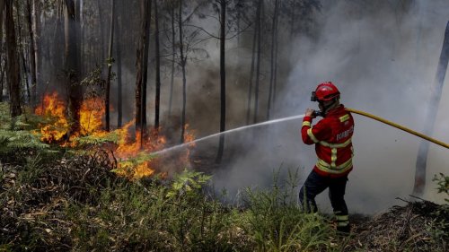 Espagne: plus d'un millier de personnes évacuées en raison de feux de forêt