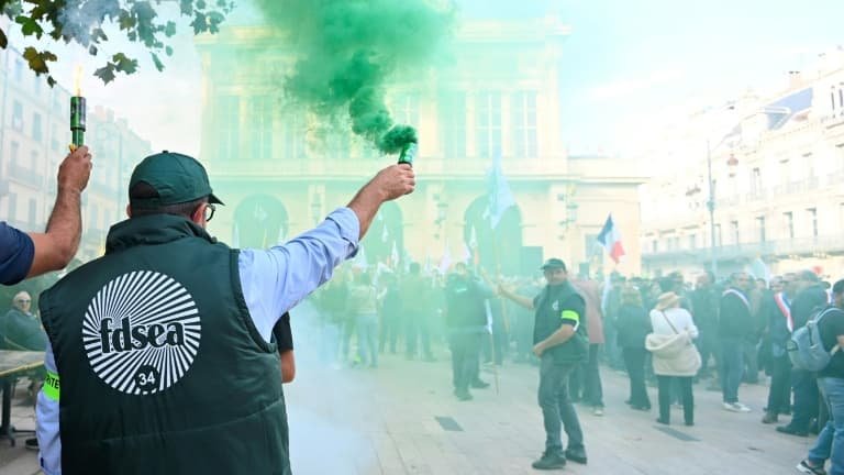 « Un cri d’alarme »: à Béziers, des milliers de viticulteurs demandent « d’agir vite » face à la détresse de la filière