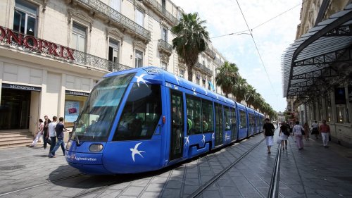 A Montpellier, les transports publics gratuits à partir du 21 décembre pour les habitants
