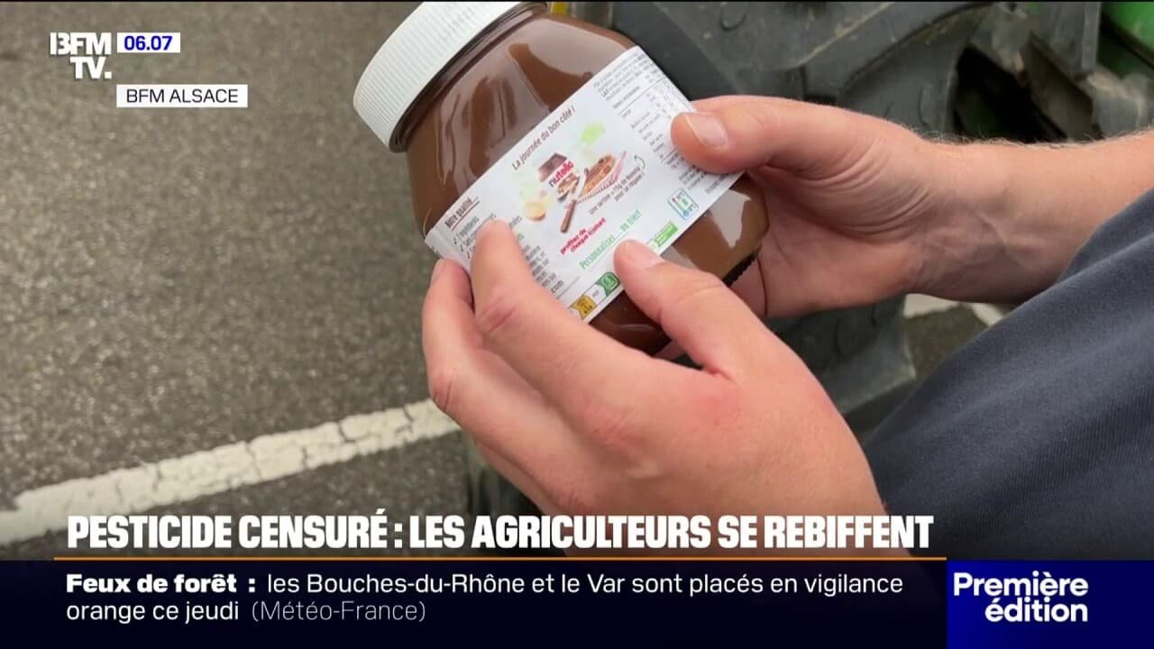 Pesticides: en Alsace, des syndicats agricoles organisent une opération « rayon vide »