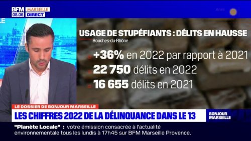 Bouches-du-Rhône: les chiffres de la délinquance en 2022