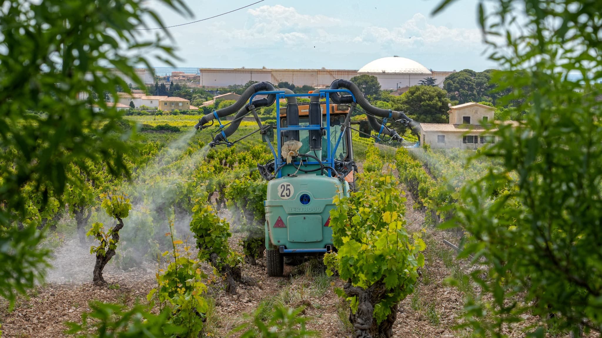 « Ça n’amuse personne de répandre des pesticides »: peut-on réduire l’usage des produits phytosanitaires dans les vignes?