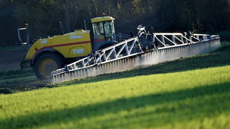 Loi Duplomb sur les agriculteurs: des députés dénoncent des intimidations et des dégradations