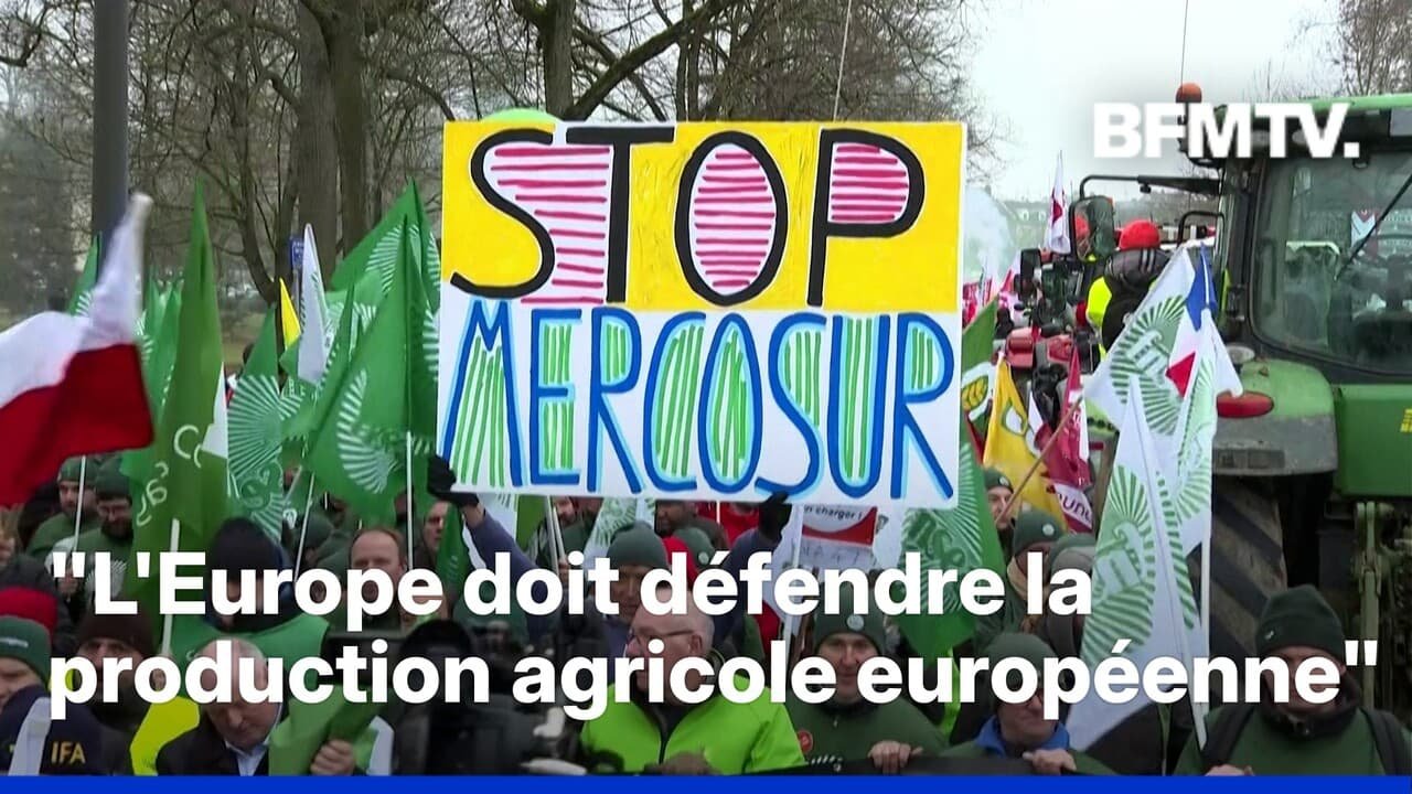 Mercosur: des milliers d&rsquo;agriculteurs protestent devant le Parlement européen