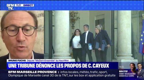 Les propos de C. Cayeux dénoncés dans une tribune - 17/07