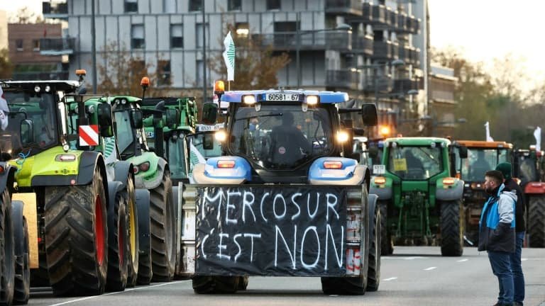 « C’est une trahison programmée »: la Coordination rurale fustige l’accord UE-Mercosur