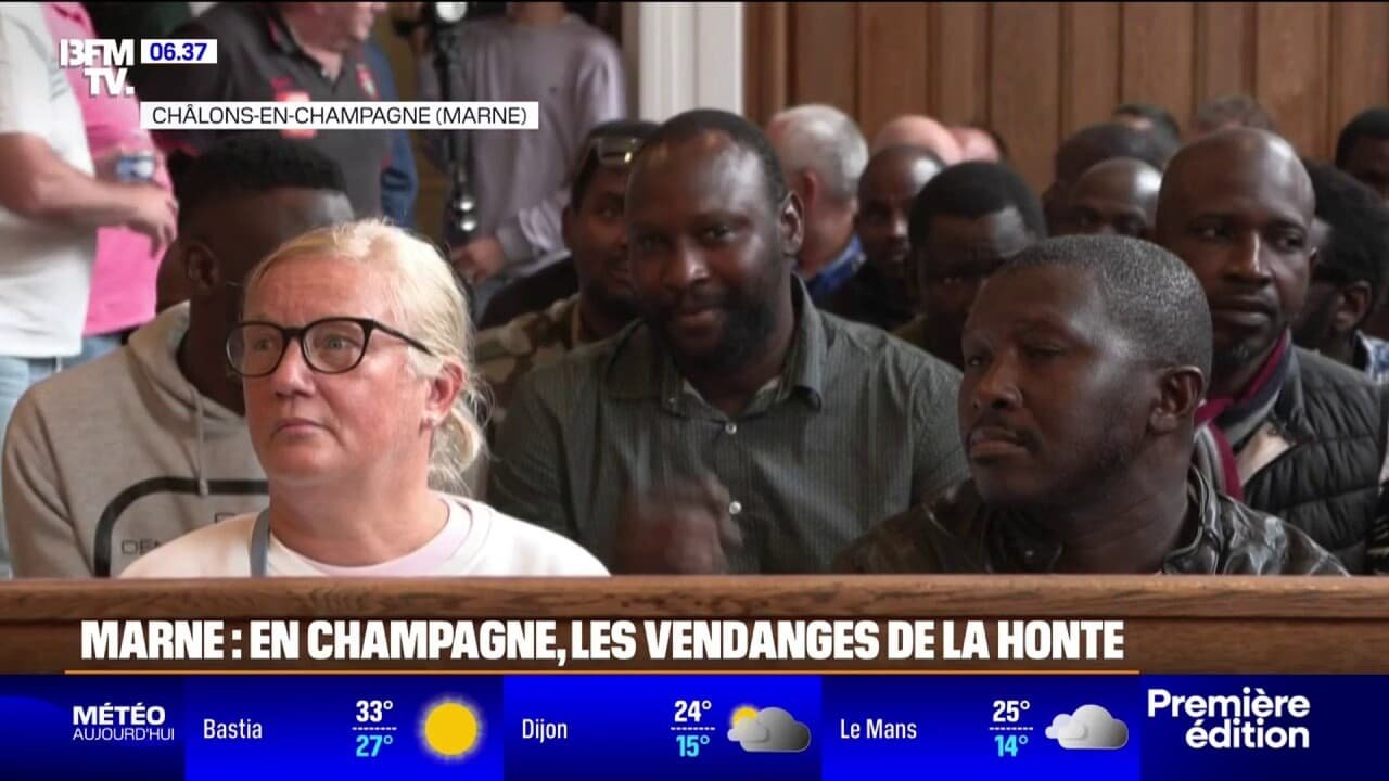 Vendanges en Champagne: trois personnes condamnées à de la prison ferme pour traite d’êtres humains