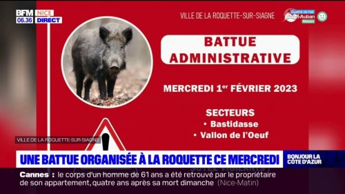 Une battue administrative organisée à La Roquette-sur-Siagne ce mercredi