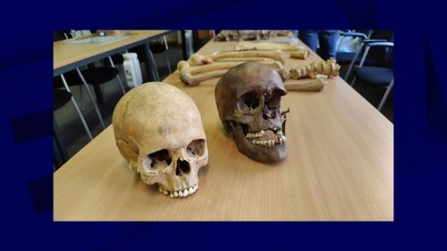"J'ai des Prussiens dans mon grenier": des os de soldats de la bataille de Waterloo découverts en Belgique