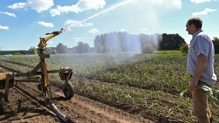 Le Nord placé en « vigilance sécheresse » à cause d’un déficit record de pluie