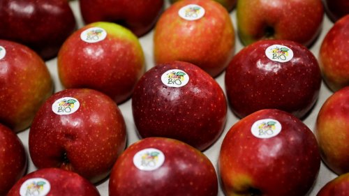 "Pas le droit de laisser tomber": les agriculteurs bio appellent à l'aide les consommateurs