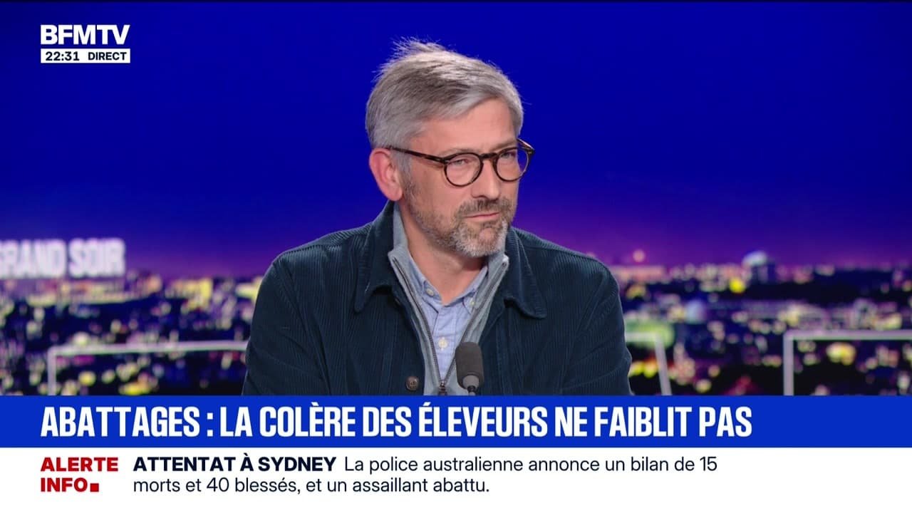 Abattages : la colère des éleveurs ne faiblit pas – 14/12