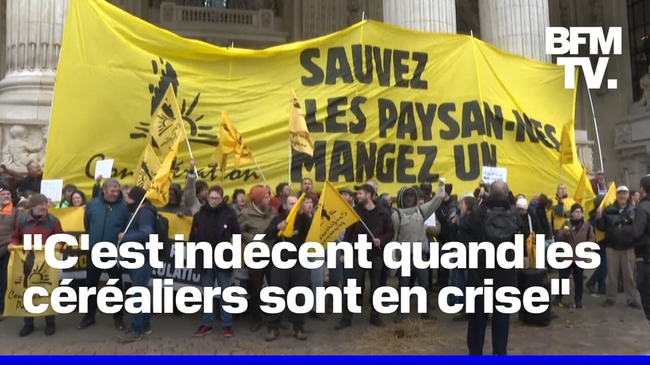 La Confédération paysanne manifeste devant le Grand Palais contre le Mercosur avant d’être dispersée par la police