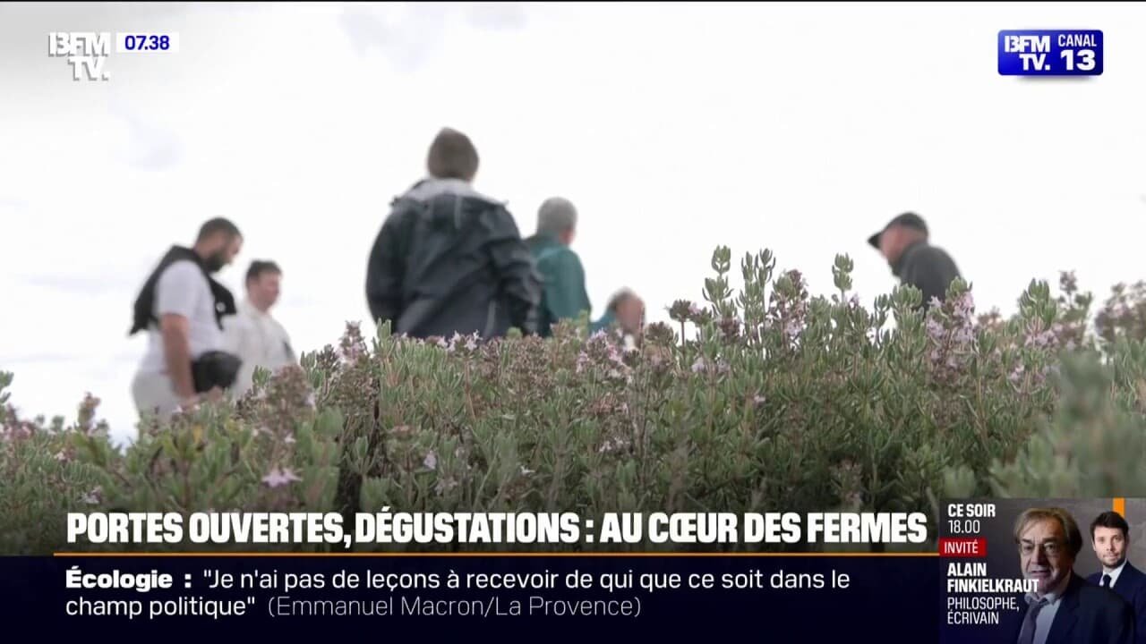 Portes ouvertes, dégustations…À la découverte des fermes à l’occasion des Journées nationales de l’agriculture