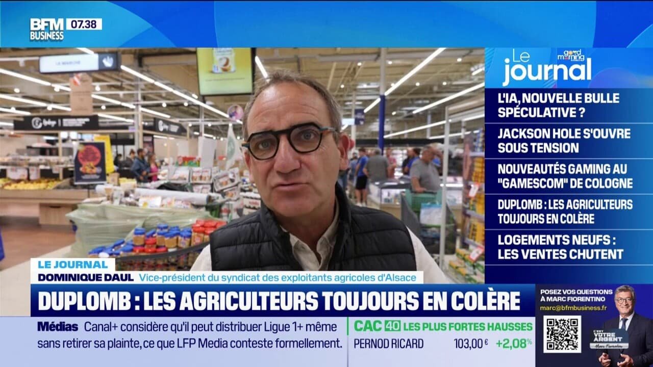 « N’achetez pas ce que vous interdisez »: les agriculteurs dénoncent la censure de la loi Duplomb